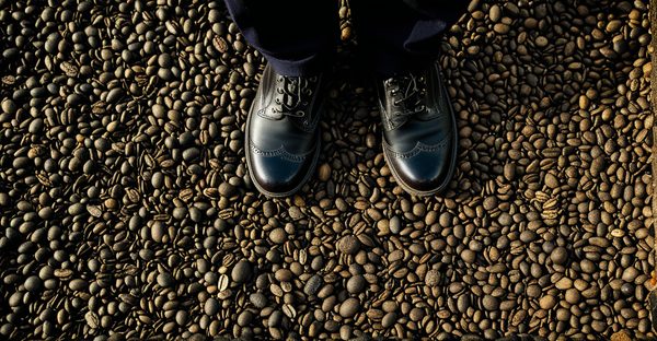 Un week-end inoubliable à Édimbourg : découvrez ses trésors